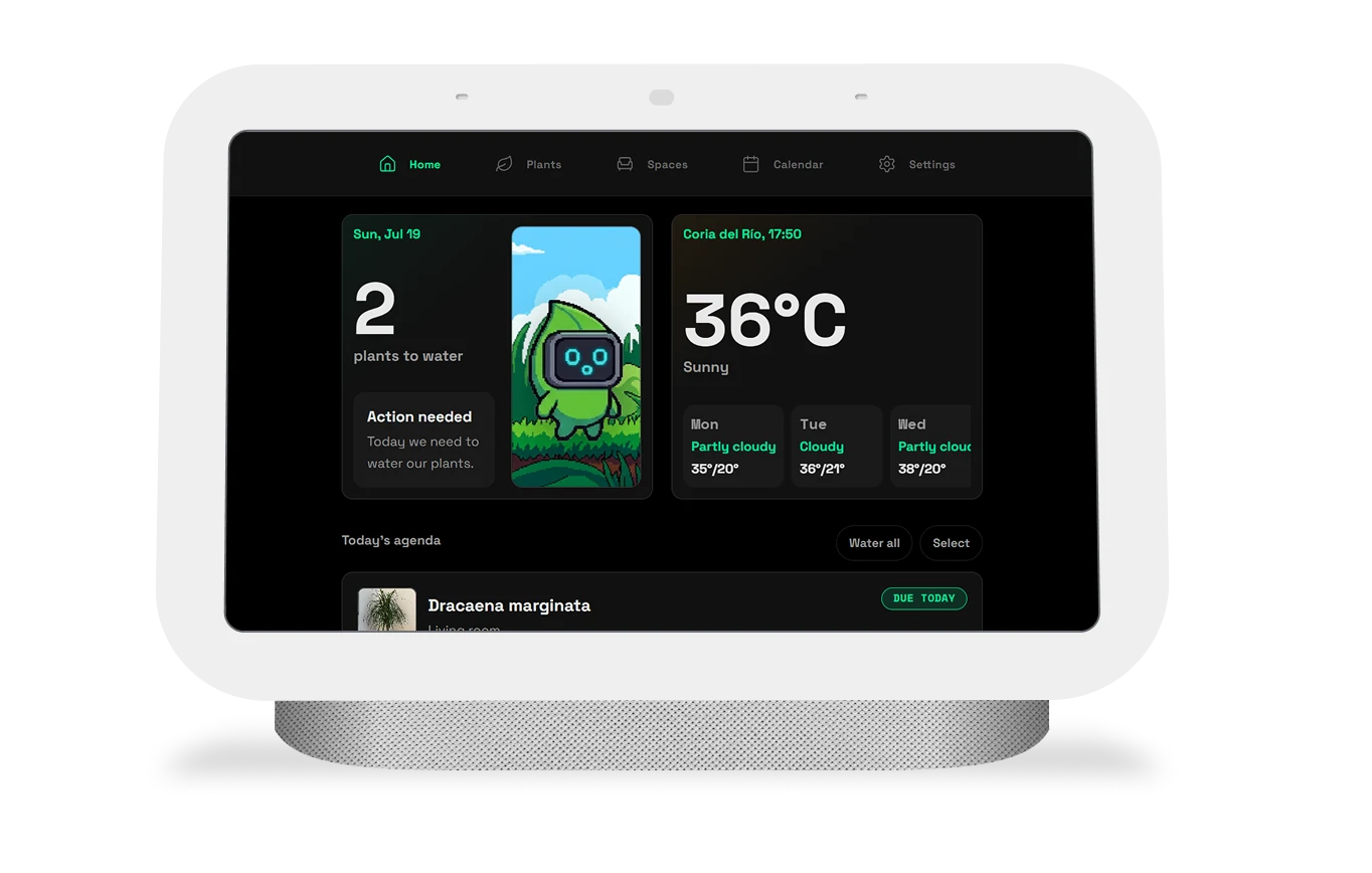 Mossumi on Google Nest Hub